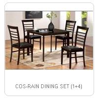 COS-RAIN DINING SET (1+4)